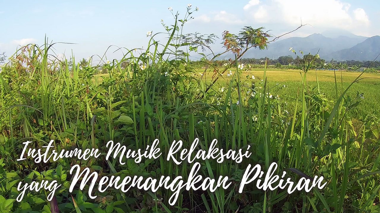 #45 Instrumen Musik Relaksasi yang Menenangkan Pikiran
