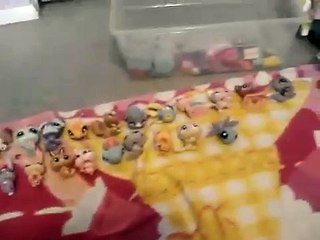 Mega Littlest Pet Shop Haul! 24 Littlest Pet Shops! (2)