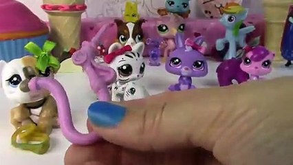 Fan Mail #23 Mystery Surprise Blind Bags Littlest Pet Shop Opening LPS (2)