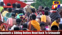 Bahuda Jatra: Pahandi Rituals Of Holy Trinity Begin | Ratha Jatra