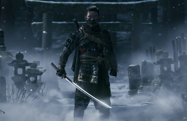 Gamers have taken 61 million screenshots while playing Ghost of Tsushima!