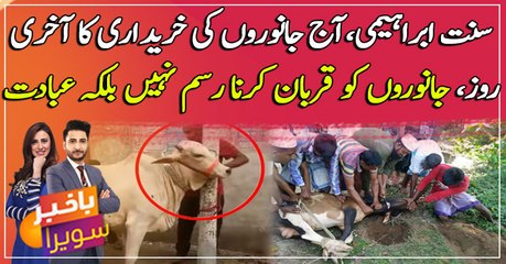 Eid Qurban: Janwaron ko qurban karna rasam nahi balkay ibadat hai ...