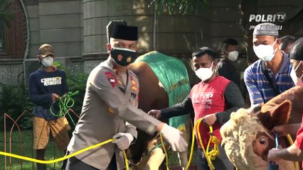 Polda Metro Jaya Dirikan Dapur Umum Untuk Kelola Daging Kurban