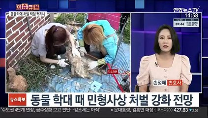 [이슈큐브] 동물에 첫 법적 지위…민법 개정안 입법예고