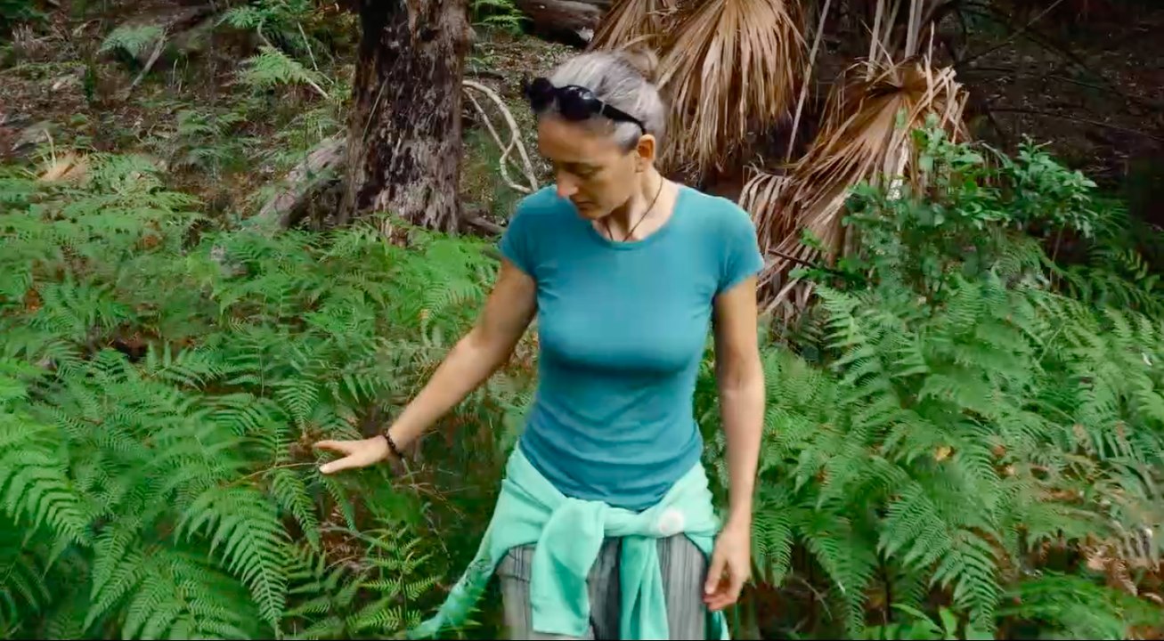 Aware Reise in das Bewusstsein - Trailer (Deutsche UT) HD