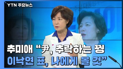 [더뉴스-더인터뷰] 추미애 "윤석열, 추락하는 꿩...이낙연 표, 나에게 올 것" / YTN