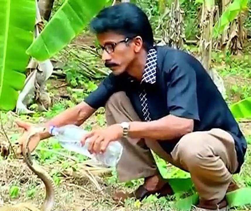 Snake drinking water from water bottle