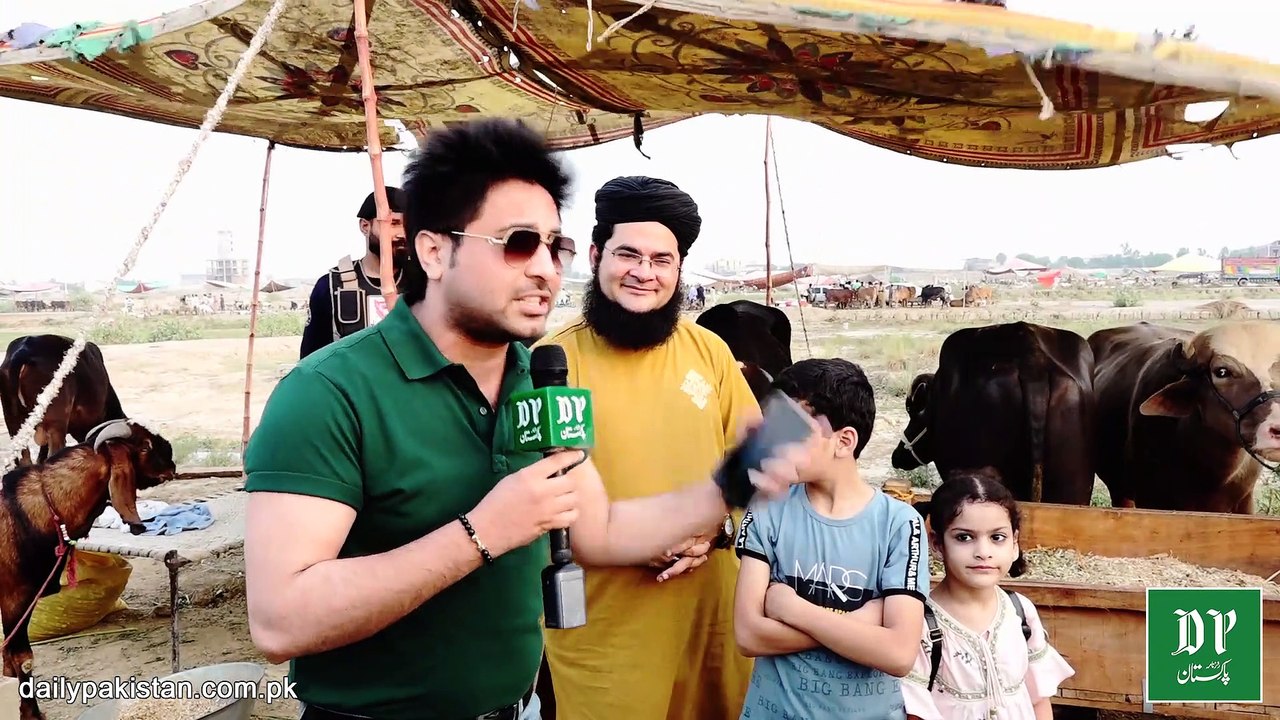 Nasir Madni aur Yasir Shami Bakra Mandi pohanch gye, qehqahon Se bharpoor tareekhi interview…