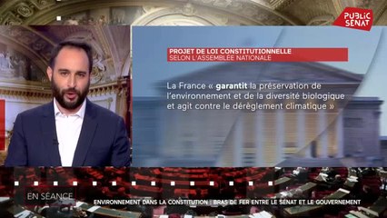 Environnement dans la Constitution : bras de fer entre le Sénat et le gouverneme - En séance (20/07/2021)