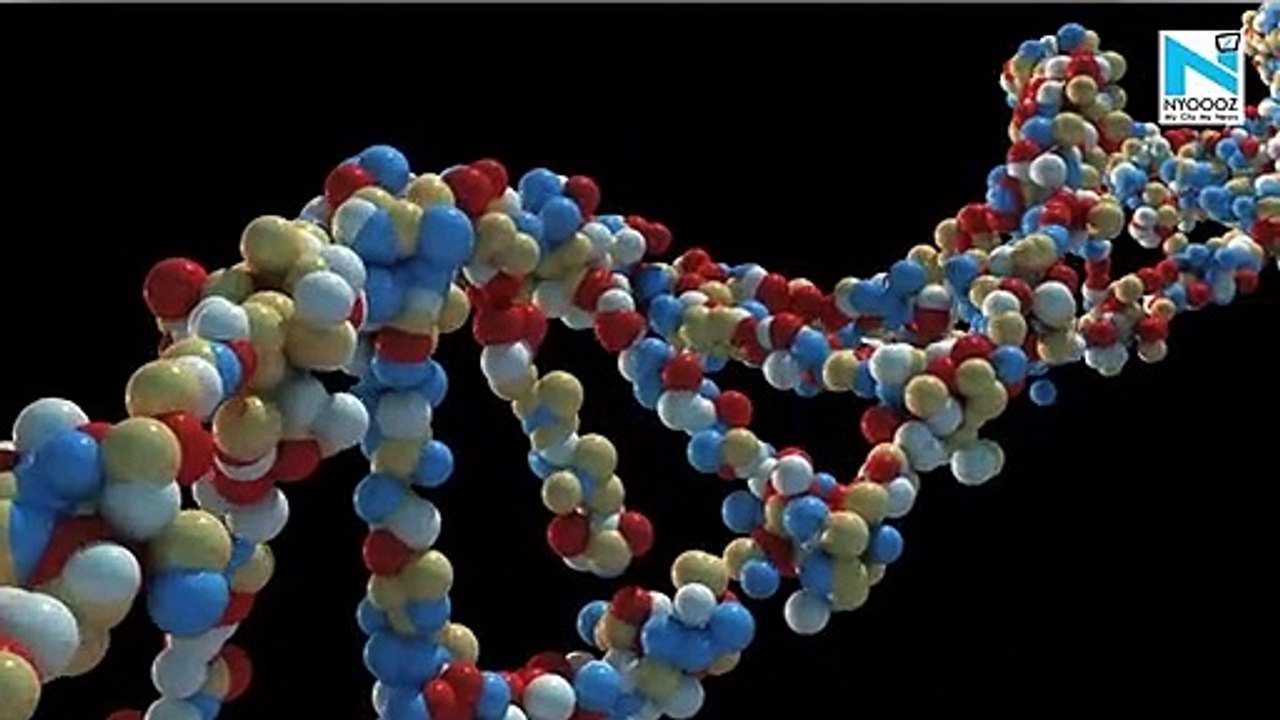 China reports its first human death due to Monkey B virus