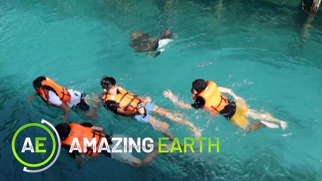 Amazing Earth: Swim with the fishes in Sibadan Fish Cage and Resort!