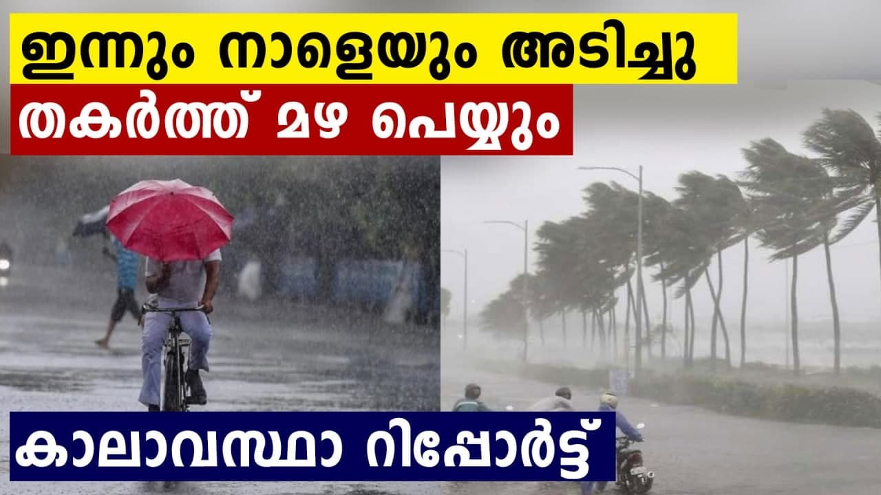 Heavy rain likely in various parts of Kerala; yellow alert in 3 districts