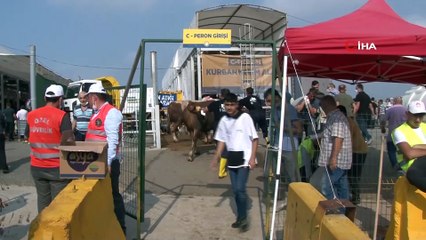 Sultanbeyli’de korona virüs önlemleri alınarak kurbanlar kesildi