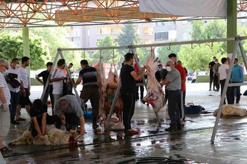 GAZİANTEP'TE YETİŞKİNLER KURBAN KESTİ, ÇOCUKLAR İZLEDİ