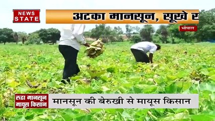 MP/CG में बारिश के लिए टोटके, कहीं गधे, तो कहीं शव यात्रा से इंद्रदेव को मना रहे हैं लोग