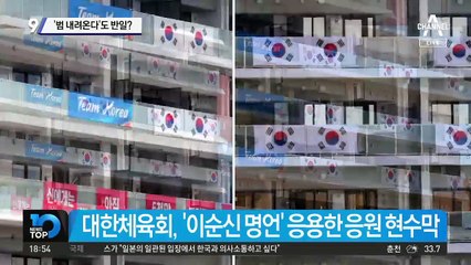 이순신 현수막 뗐더니…‘범 내려온다’도 반일?