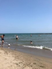 KARASU'DA KAŞINMANIN NEDENİ DENİZ ANASI