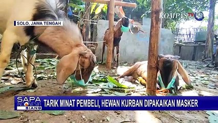Unik! Pedagang Hewan Kurban di Solo Pakaikan Masker pada Kambing