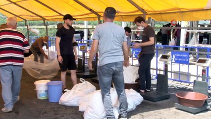 Sancaktepe'de kurban kesim alanında kavurma ziyafeti