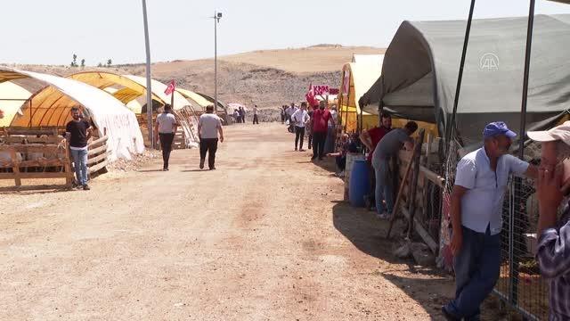 Kurban pazarlarında ve kesimhanelerde hareketlilik yaşanıyor