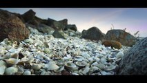 Saltsydning på Læsø | Vores Nordjylland - Landsdelen i billeder og musik | Gaardsmand Film 2017 | TV2 NORD - TV2 Danmark