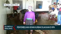 Cegah Kerumunan, Penyembelihan Hewan Kurban di Malang Dilakukan di RPH