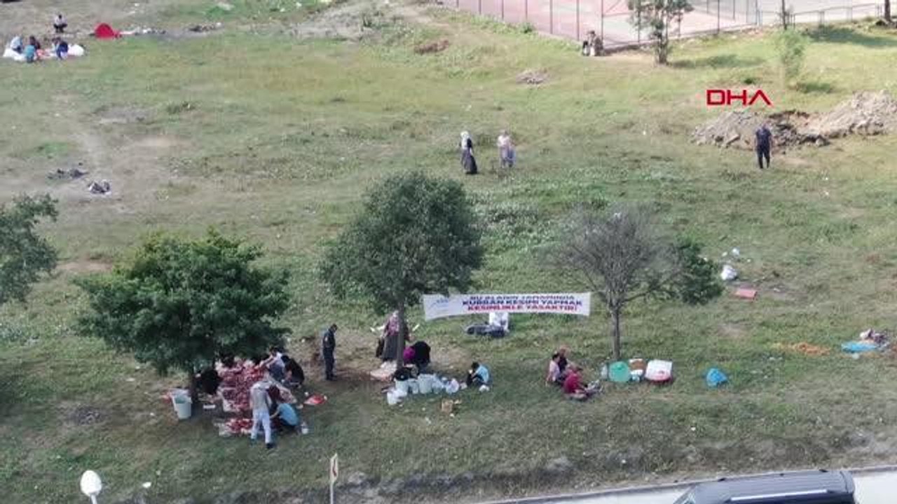 "BU ALANDA KESİM YASAK" AFİŞİNİN ALTINDA KAÇAK KESİM