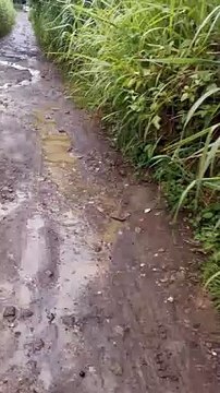 Hirap Talaga Pag Maulan Ang Putik