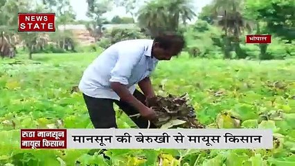 MP में मानसून की बेरुखी का खेती पर दिखा असर, देखें रिपोर्ट