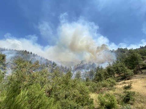 KAHRAMANMARAŞ - Orman yangınına havadan ve karadan müdahale ediliyor