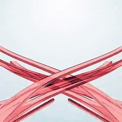 Homem-Aranha é vacinado em Arapongas contra a Covid-19