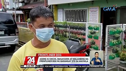 Frontliner dog na si Chichi, pumanaw dahil sa sakit na dulot ng virus sa dugo | 24 Oras