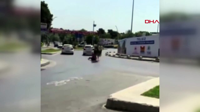 Kaçan danayı kuyruğundan tuttu: Metrelerce sürüklendi