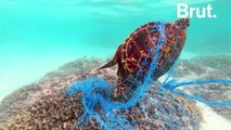 Cette association récupère les filets de pêche abandonnés en mer
