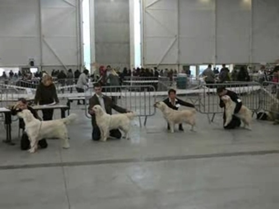 Concours niort08