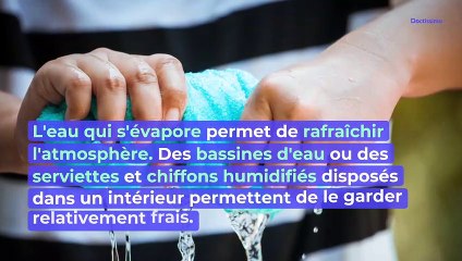 NEW 6 techniques pour rafraîchir son intérieur