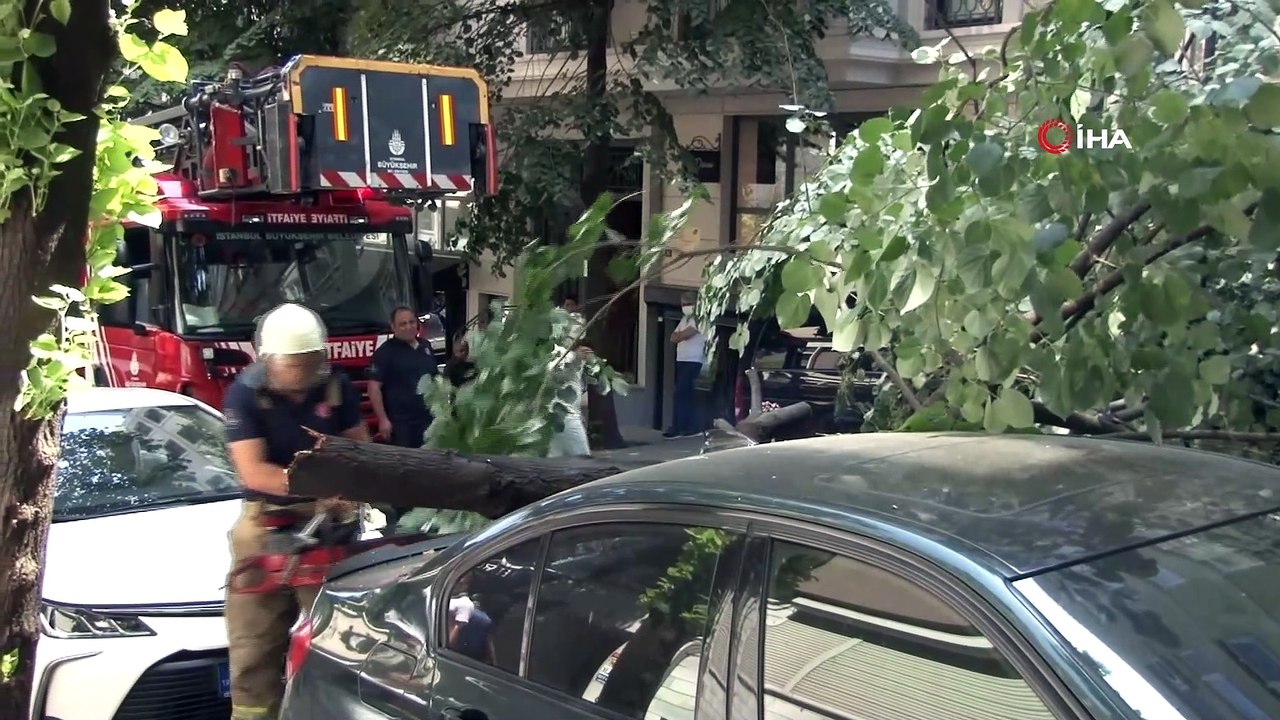 Ünlü oyuncunun lüks aracının üzerine ağaç devrildi