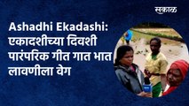 Ashadhi Ekadashi: एकादशीच्या दिवशी पारंपरिक गीत गात भात लावणीला वेग | Rice planting | Sakal Media