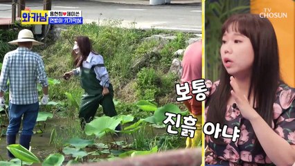 차원이 다른 무한 연늪지옥 현희 잡는 연밭 TV CHOSUN 210720 방송