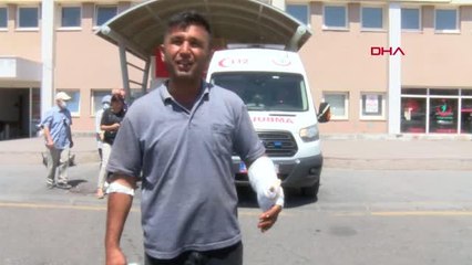 Son dakika haber! NEVŞEHİR'DE ACEMİ KASAPLAR HASTANELİK OLDU