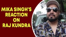 Mika Singh's reaction on Raj Kundra case