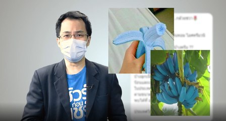 ข่าวค่ำ ช่วงที่ 4 วันอังคาร 20 กรกฎาคม 2564