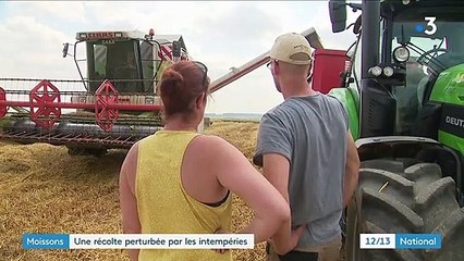 Agriculture : le calendrier des récoltes perturbé par les récentes intempéries