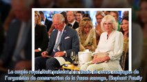 Camilla Parker Bowles très élégante tout en blanc pour un événement lié à son frère décédé