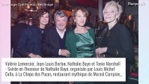 Nathalie Baye en couple avec un ancien ministre, une relation amoureuse gardée secrète