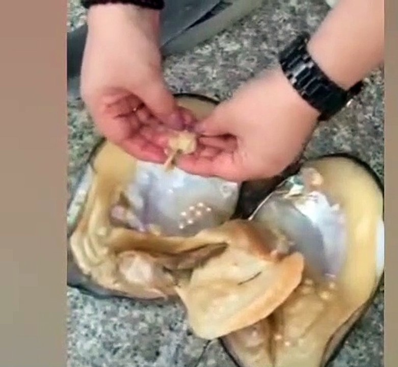 Pearls in sea shell