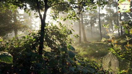 karuna sagara  chandrashekhara