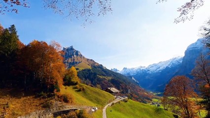 Beautiful Relaxing Music - Romantic Music with Piano, Cello, Guitar & Violin _ _Autumn Colors_