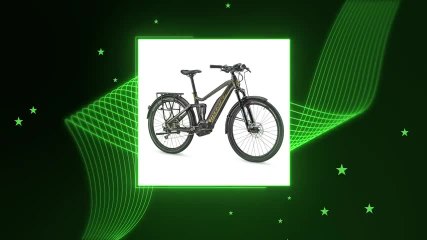 Etoiles des Numériques, Loisirs, VAE