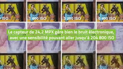 Sony Alpha 7C Review 📸